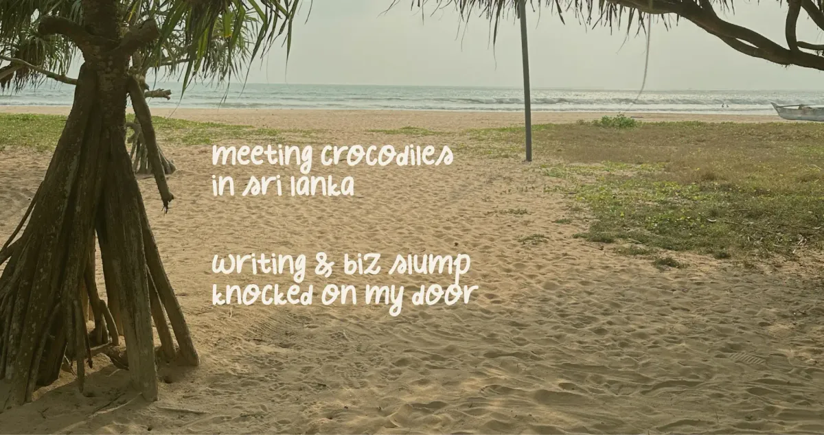 A view of Sri Lankan beach, with the mangrove tree in the foreground and the Indian ocean in the background.